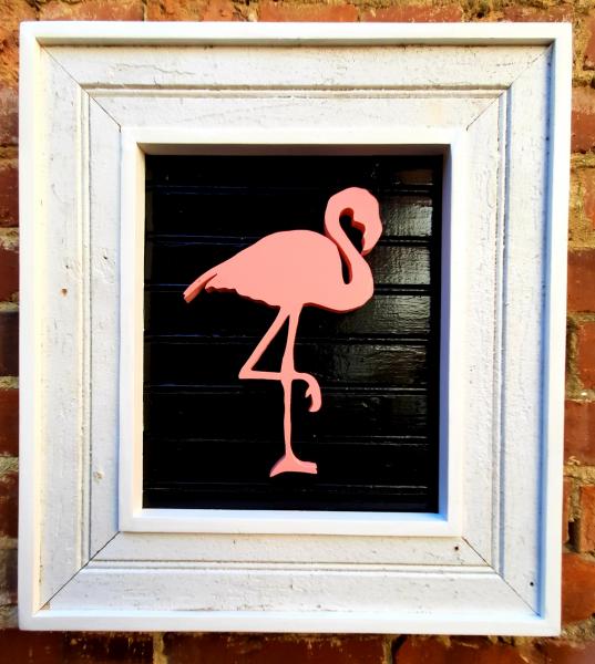 Flamingo picture