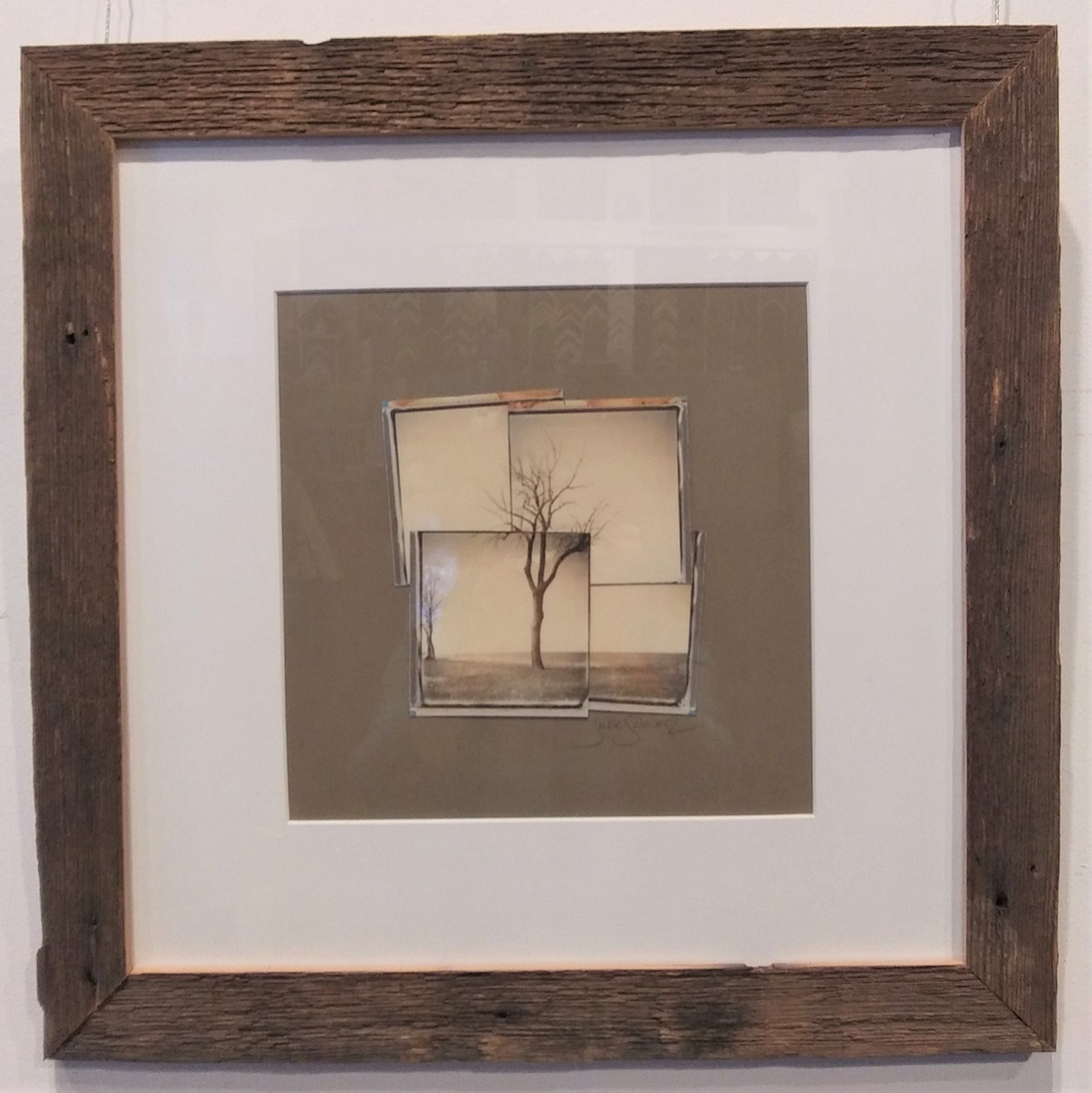 Camp Sokol Tree #2 Collage picture