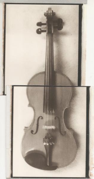 Violin Double picture