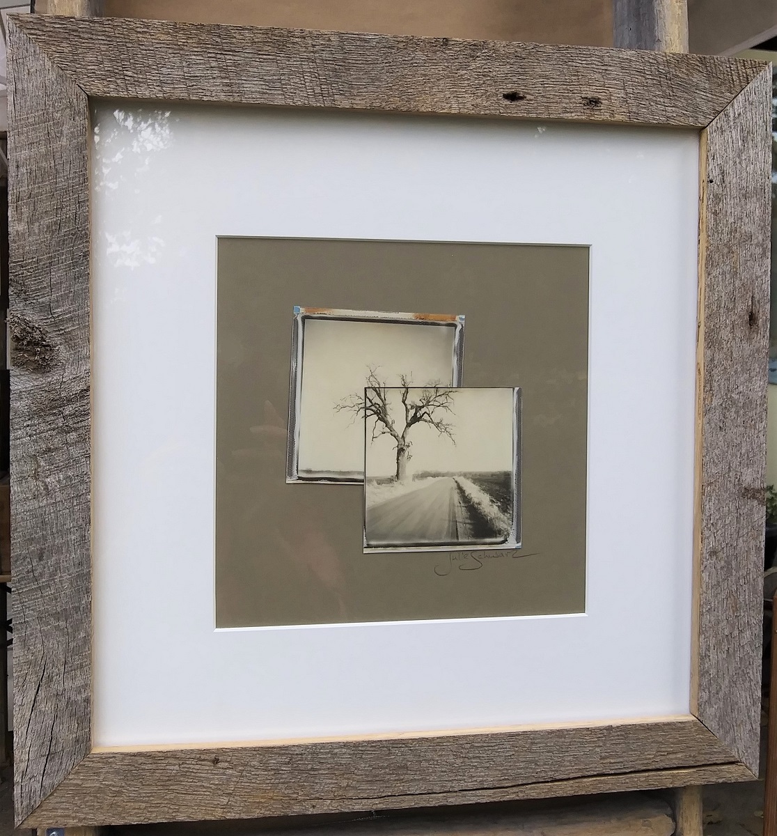 Double Split Tree picture