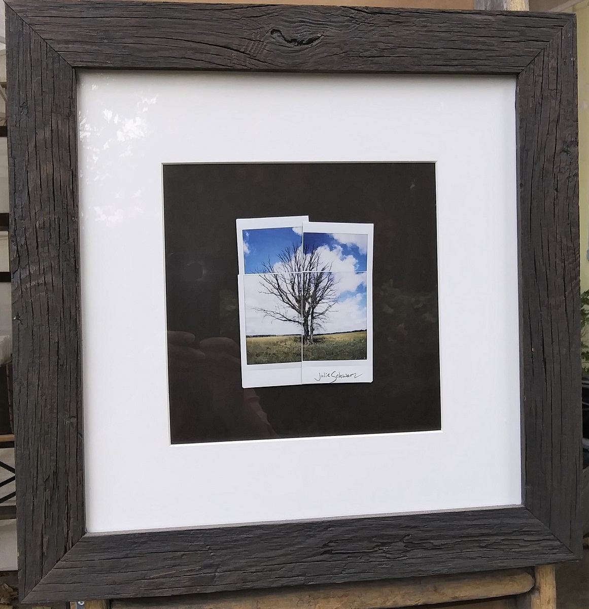 Color Rutledge Tree Collage picture