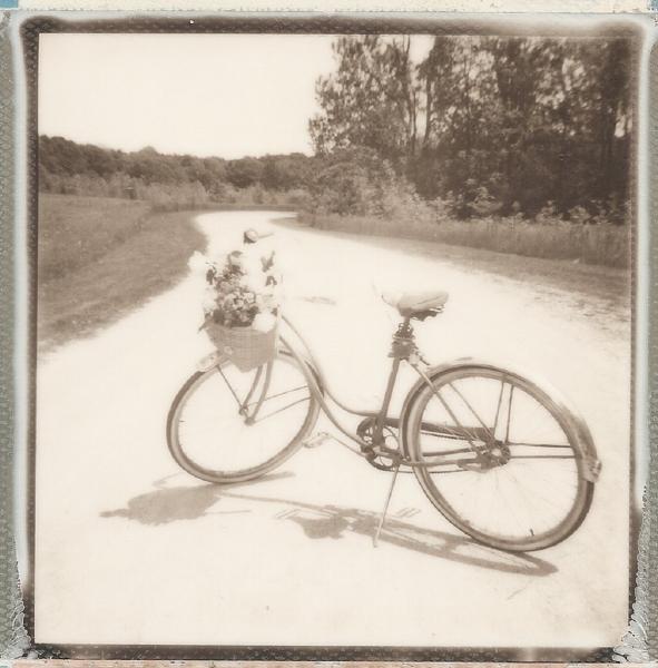 Chikaming Park Bike