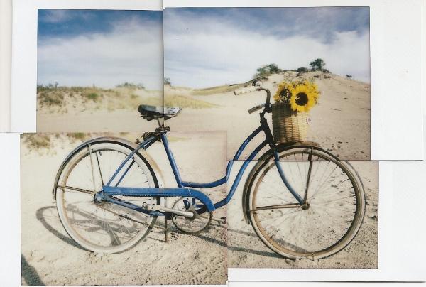 Color Dune Bike Collage picture