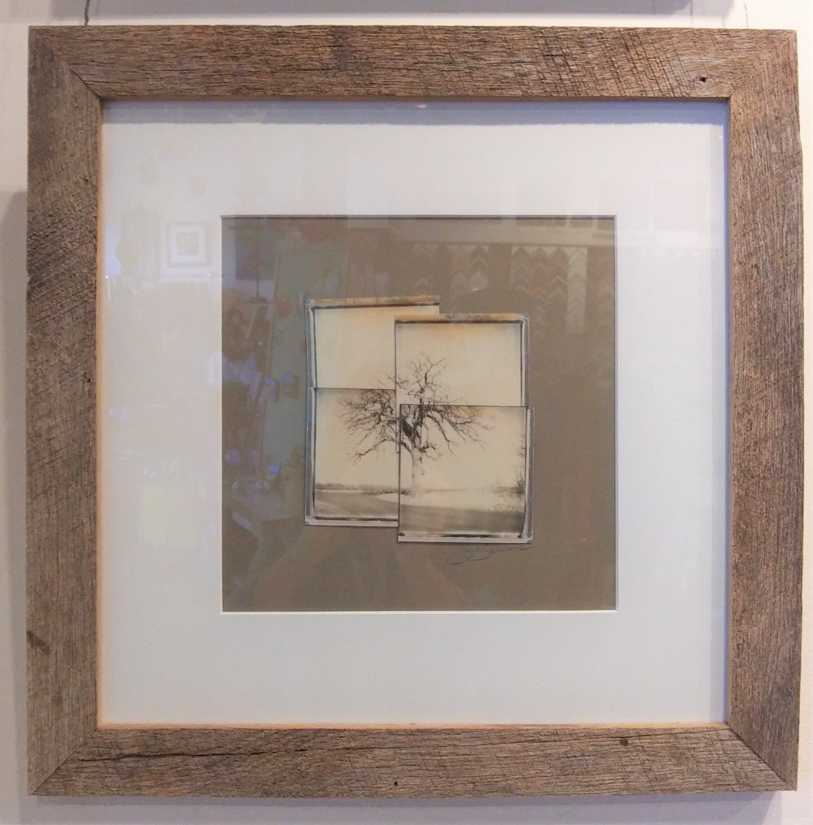 Curran Road Tree #2 Collage picture