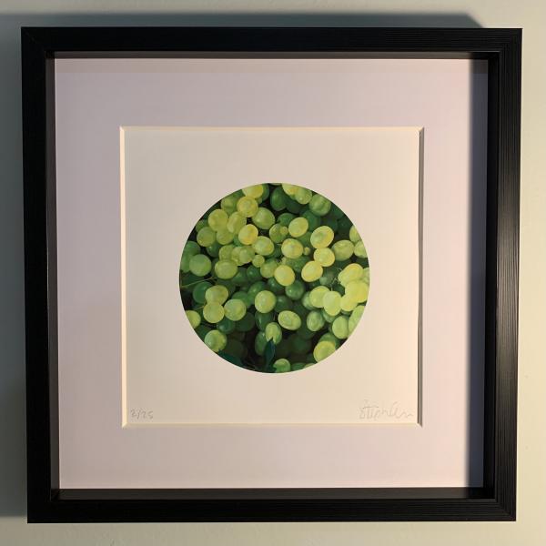 Fresh Green Grapes - Fine Art Print