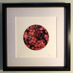 Crunchy Red Grapes - Fine Art Print