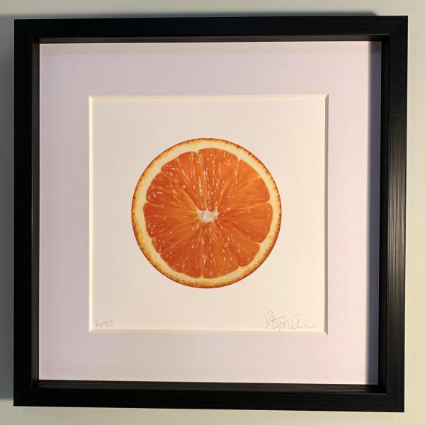 Big Juicy Orange - Fine Art Print