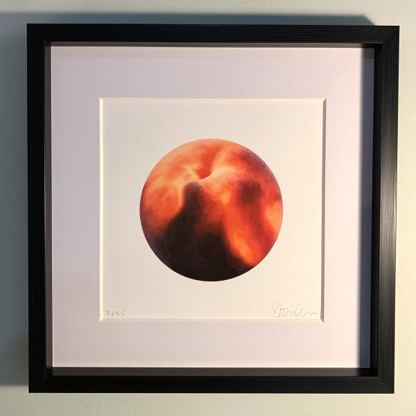 Giant Peach - Fine Art Print