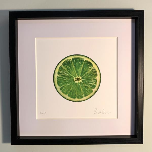 Zesty Lime - Fine Art Print