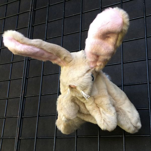 Rabbit Puppet picture