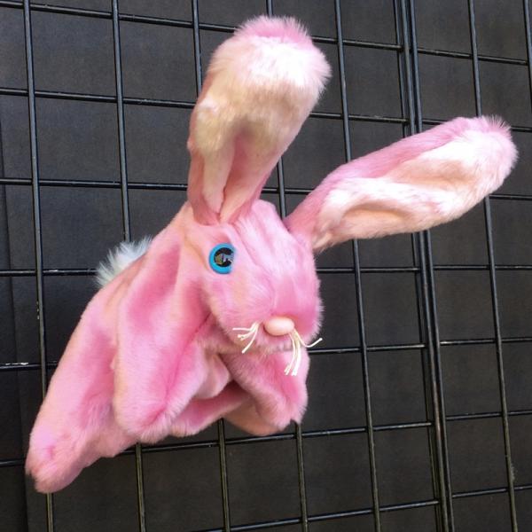 Rabbit Puppet picture