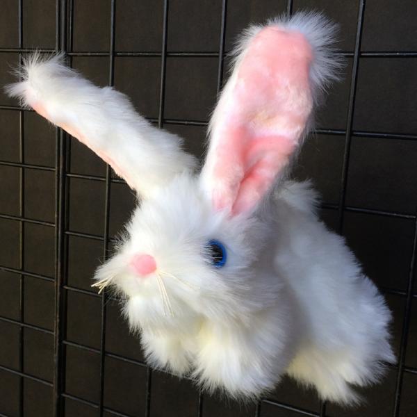 Rabbit Puppet picture