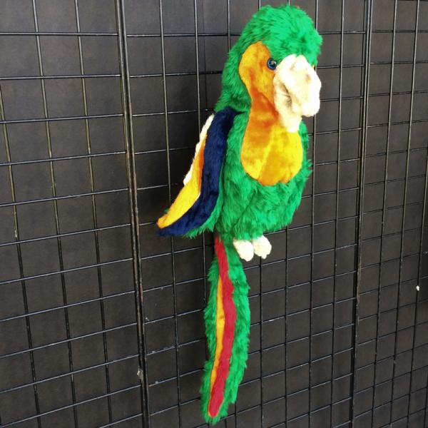 Parrot Puppet picture