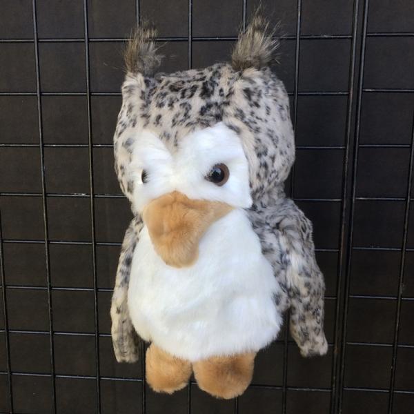 Owl Puppet picture