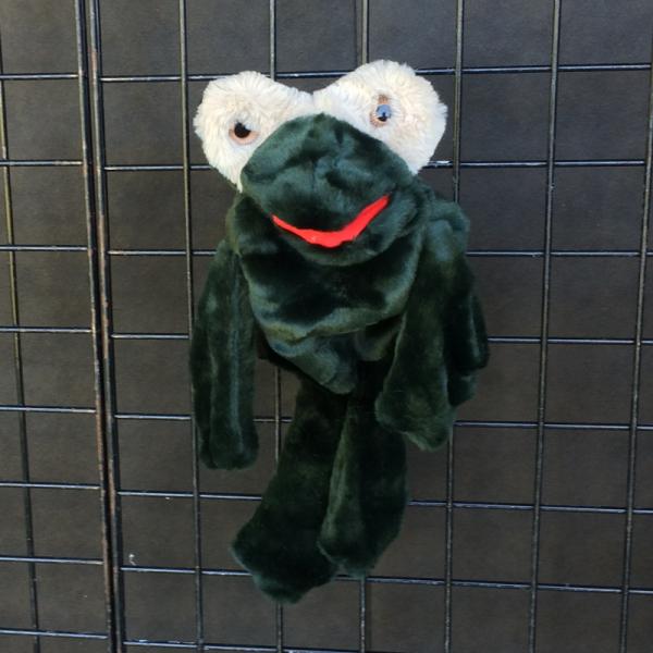 Frog Puppet picture