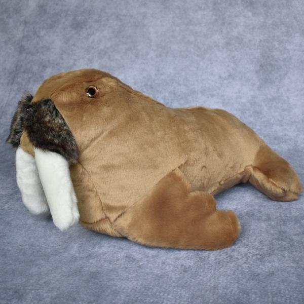 Walrus picture