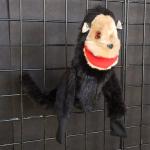 Monkey Puppet