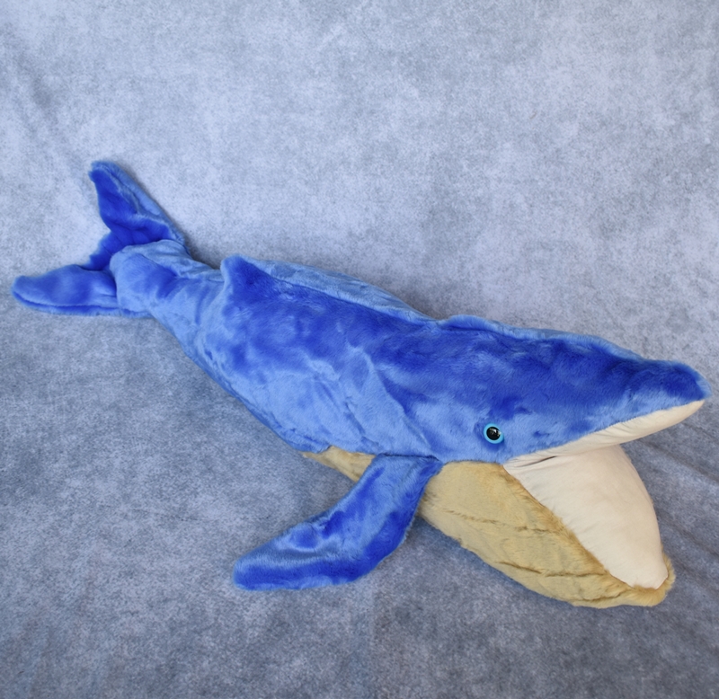 Whale Blue picture