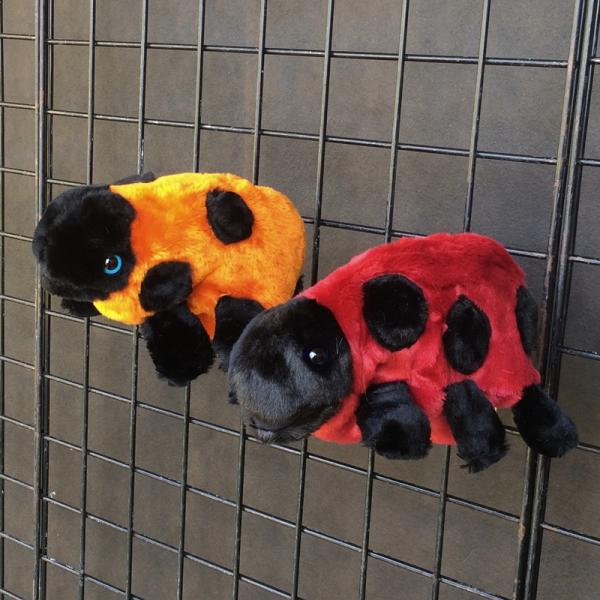 Lady Bug Puppet