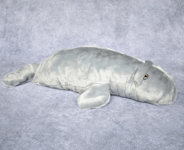 Manatee picture