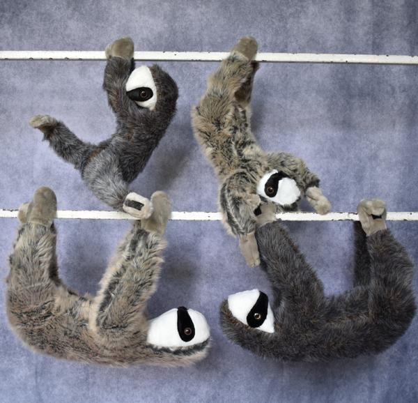 Sloth Baby