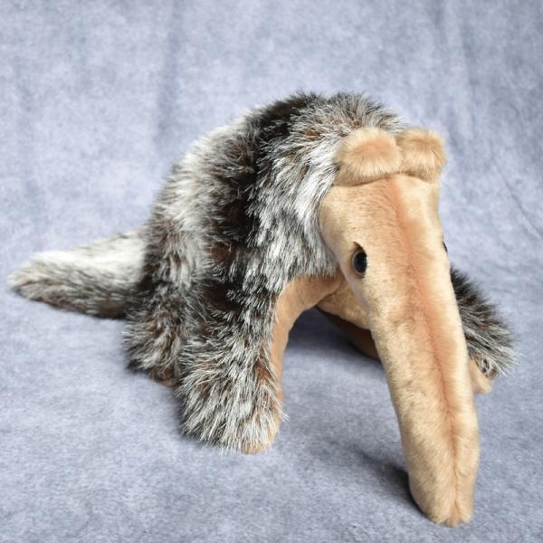 Anteater, Large picture
