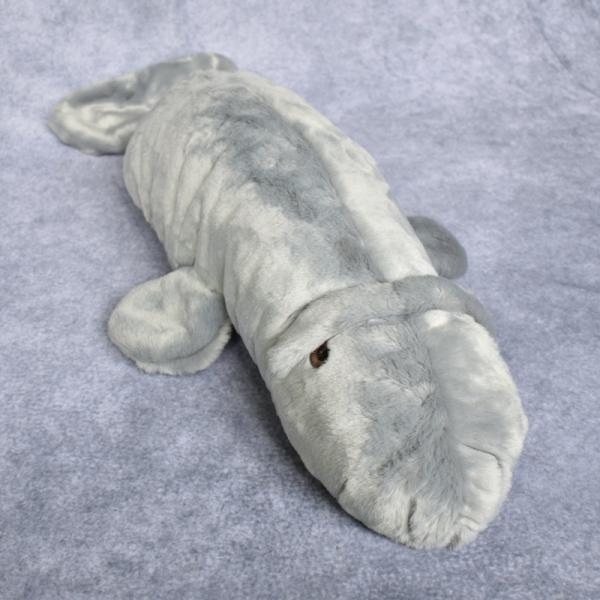 Manatee picture