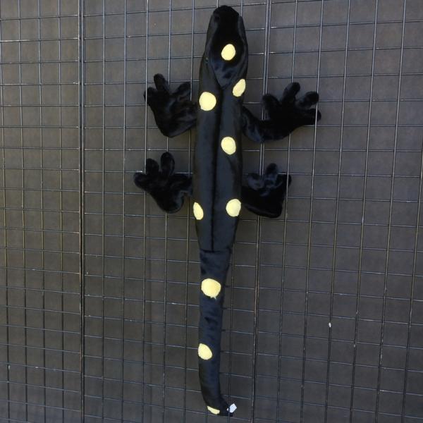 Salamander Puppet picture