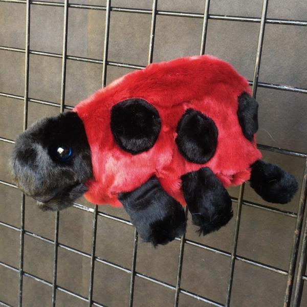 Lady Bug Puppet picture