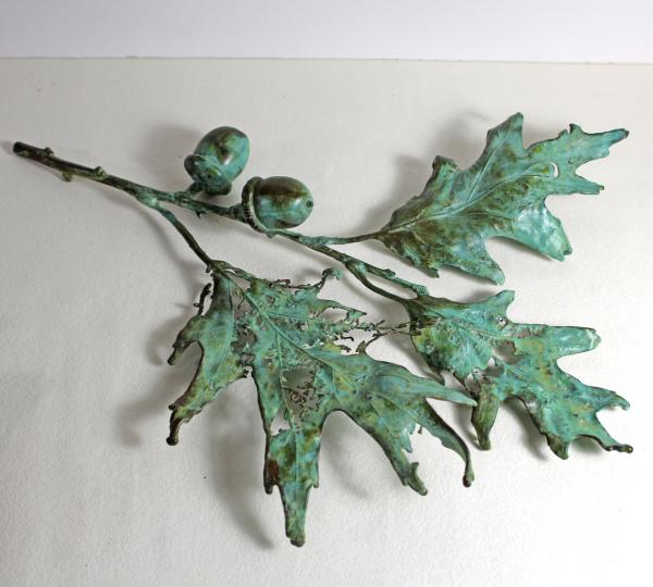 Red Oak branch with Acorn