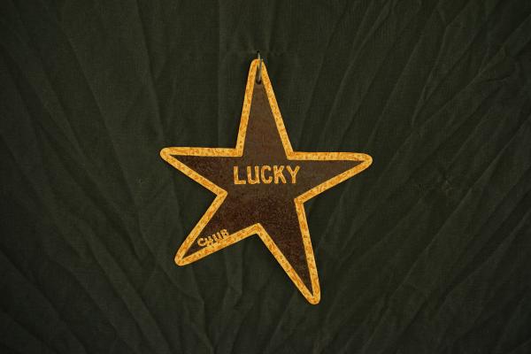 Lucky star (rusty)