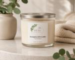 Eucalyptus Mint Soy Blend Candle | 14 oz