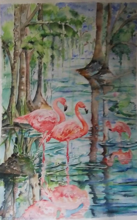 Flamingos