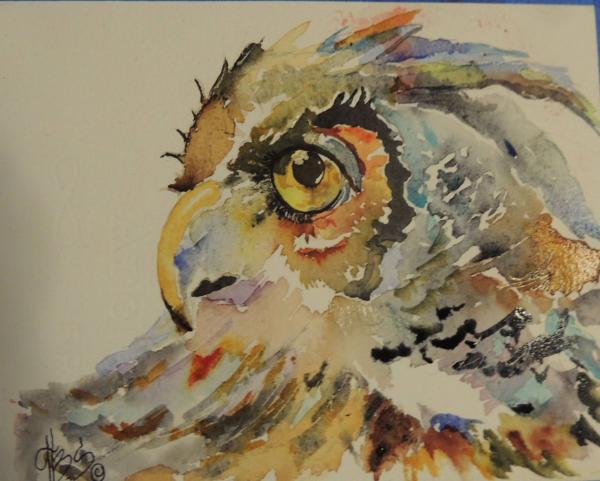 Owl