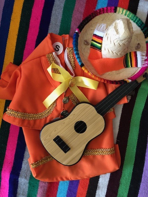 Mariachi dog jackets picture