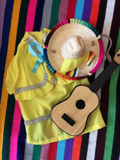 Mariachi dog jackets picture