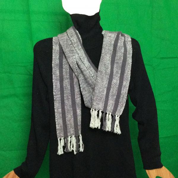 Light Gray with Charcoal Stripes (SC128) picture