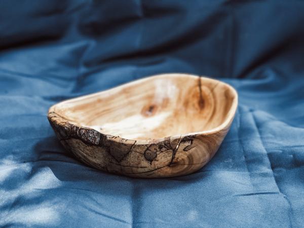 Rock Maple