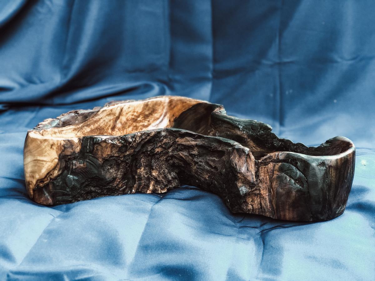 Curved Lightning Poplar Root picture