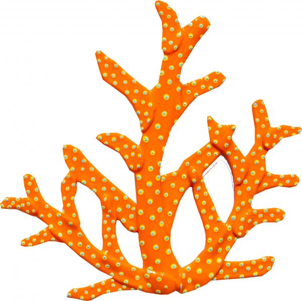 Coral Tree- Orange picture