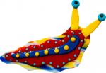 Nudibranchs Sea Slug - Right - Limited Edition