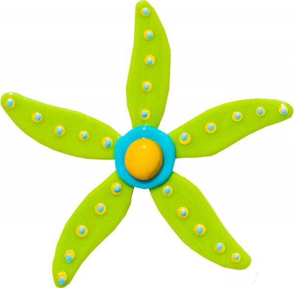 Star Fish - Green picture