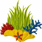 Coral - Large - Sea Grass