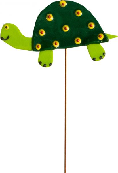 Land Turtle- Dark Green