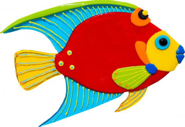 Queen Angelfish - Small - Red picture