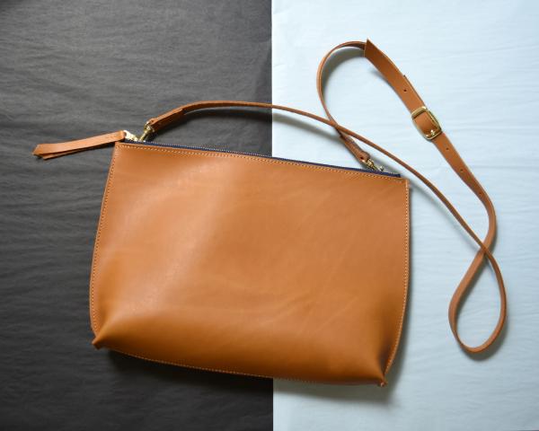 Large Everyday Zip Crossbody picture