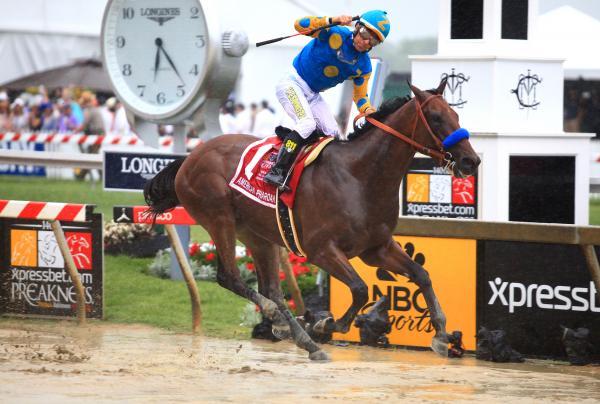 American Pharoah 2015 Grand Slam Collector's Frame picture