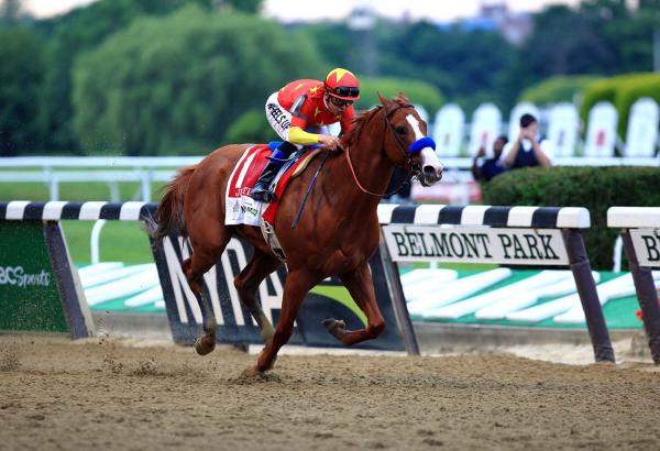 Justify 2018 Triple Crown Collector's Frame w/ Gold Plaque picture