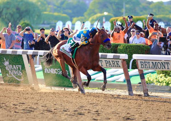 2015 American Pharoah Triple Crown Collector's Frame picture