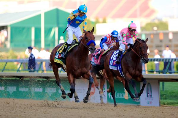 American Pharoah 2015 Grand Slam Collector's Frame picture